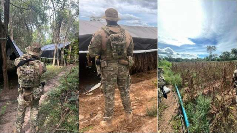Polícia Federal destrói plantação de maconha e equipamentos utilizados no cultivo da droga