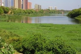 poti