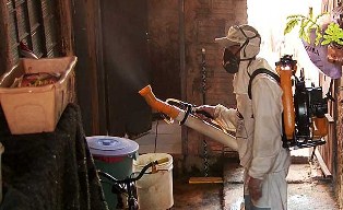 dengue