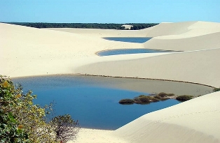 dunas