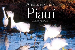 beleza