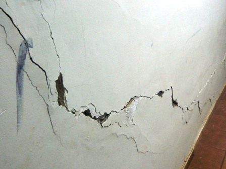 delegaciapicos032014