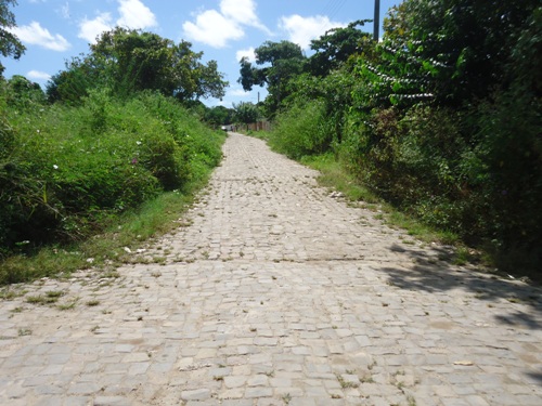 josinadecarvalh