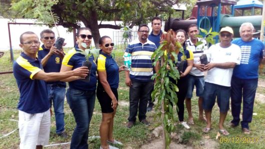 mudas copy