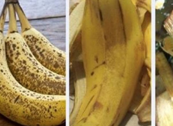 banana