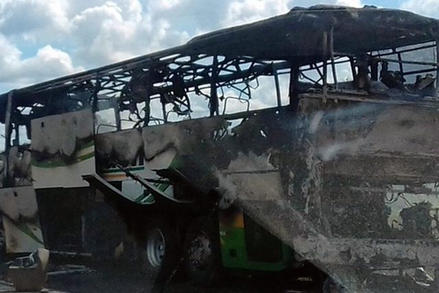 onibusfg