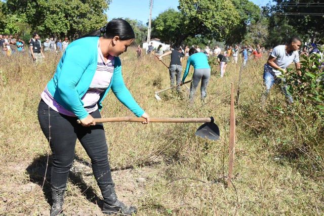 brigada