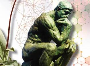 andropausa