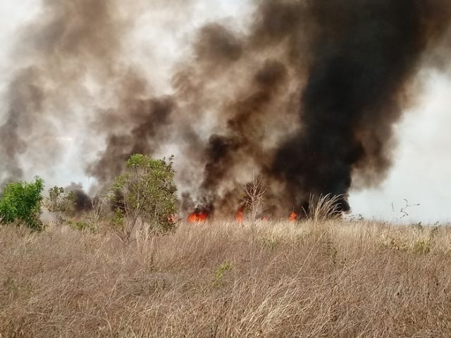 fogo0