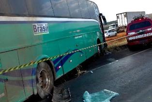 onibus