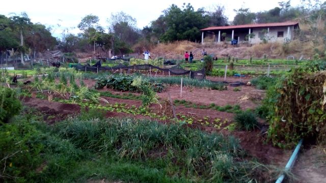 horta