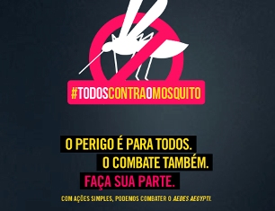 mosquito