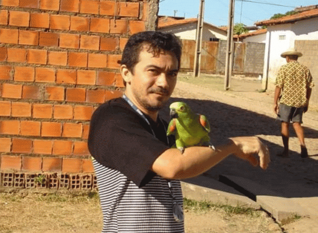 comerciante