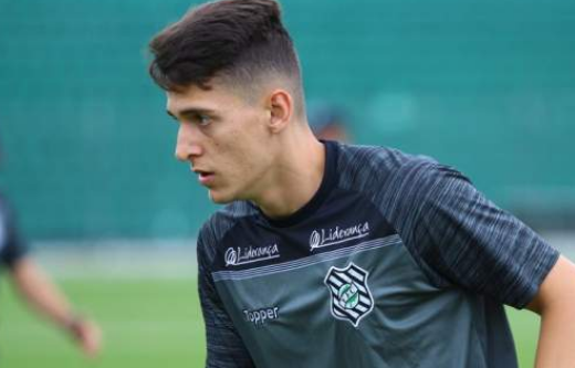 henriquetrevisan