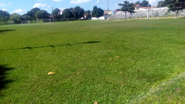 comercioFLO