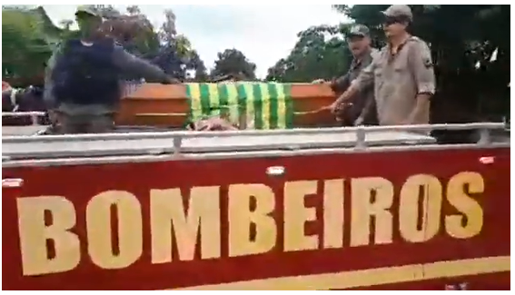 luiz1