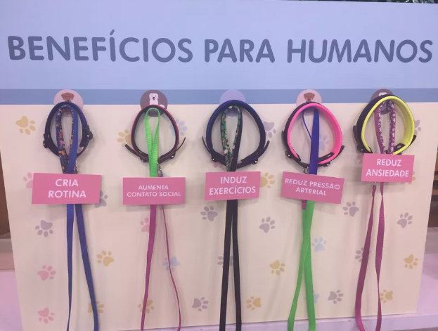 bichos