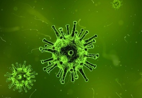 superbacteria