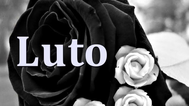 LUTOreis