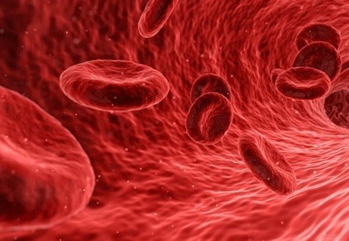 arterias