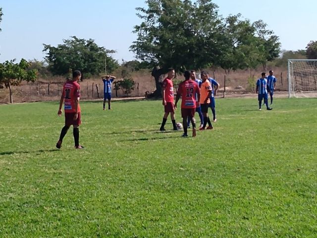 torneio