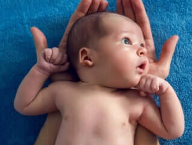 bebe