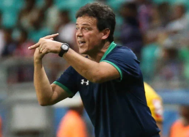 fernandodiniz