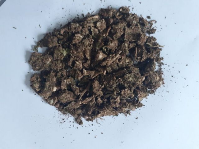 maconha