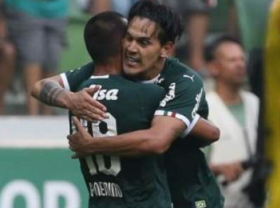 palmeiras