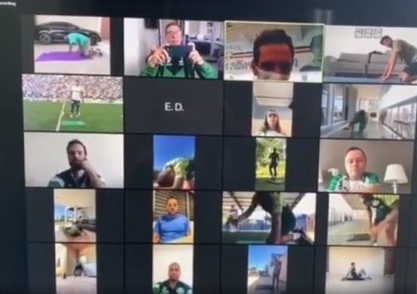 palmeirasvideo