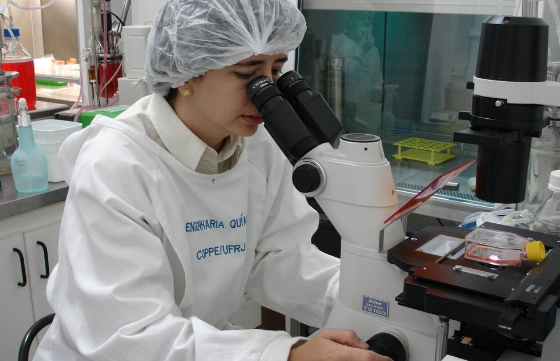 cientistaleda
