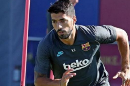 suarez