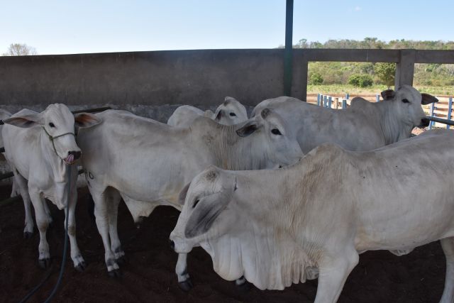 agro