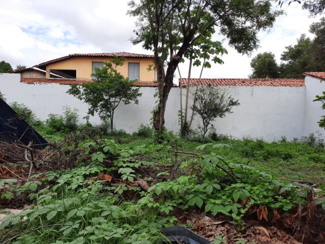 muro