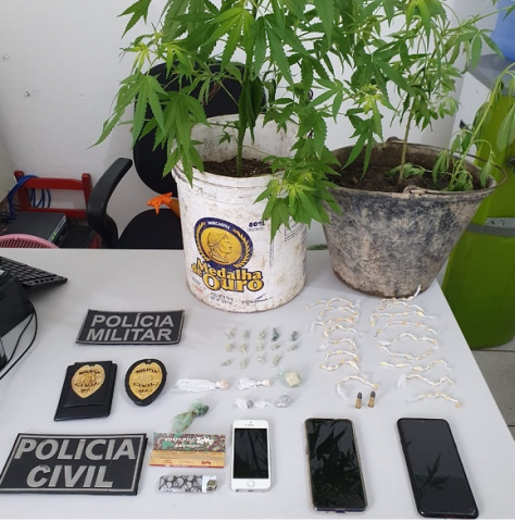 maconha