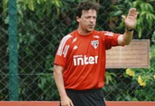 diniz