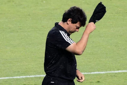 fernando diniz