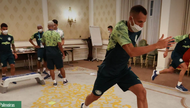 palmeiras