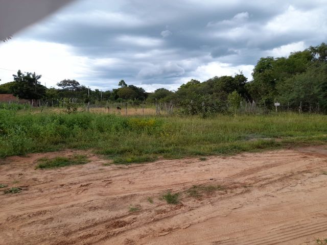 terreno