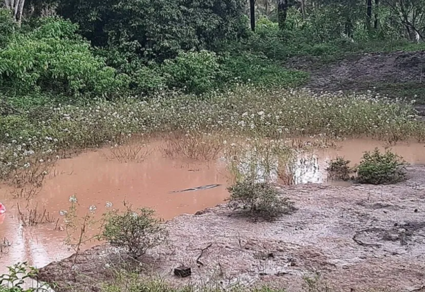 lago
