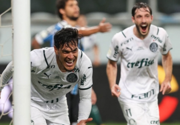 palmeiras
