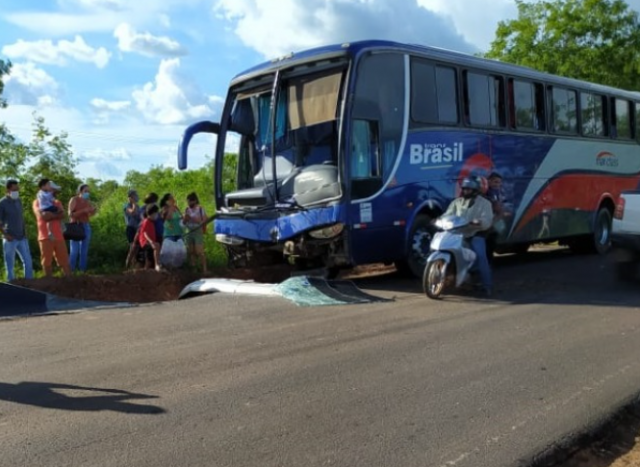 onibus