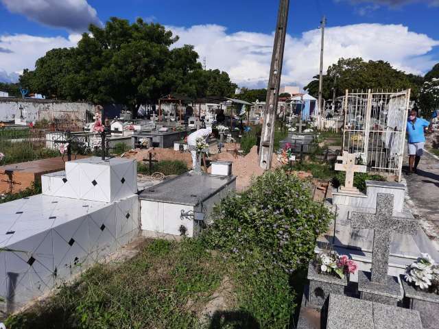 cemitegrioflo