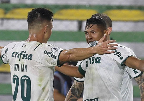 palmeiras