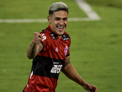 pedro 2