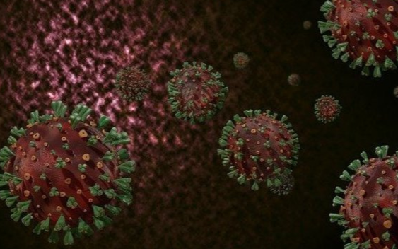 proteinaspike