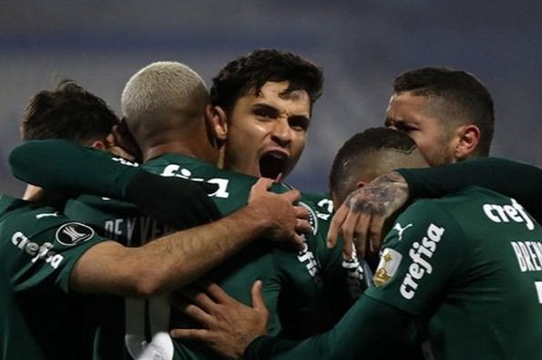 palmeiras