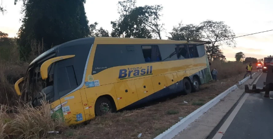 onibus