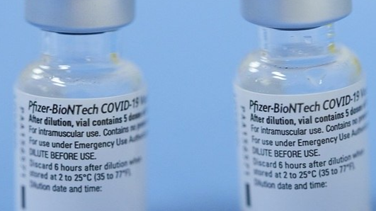 pifezbiotec