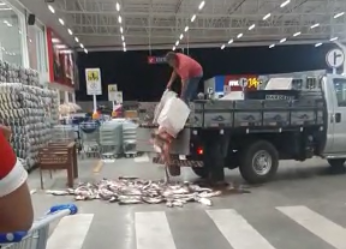 peixe